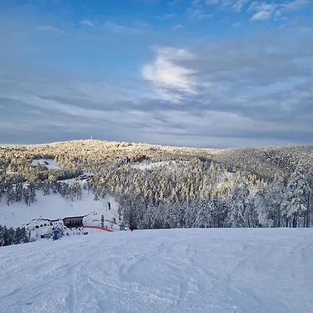 아파트 Divcinova - Gorski