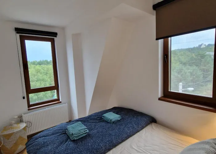 Divcinova - Gorski Divčibare