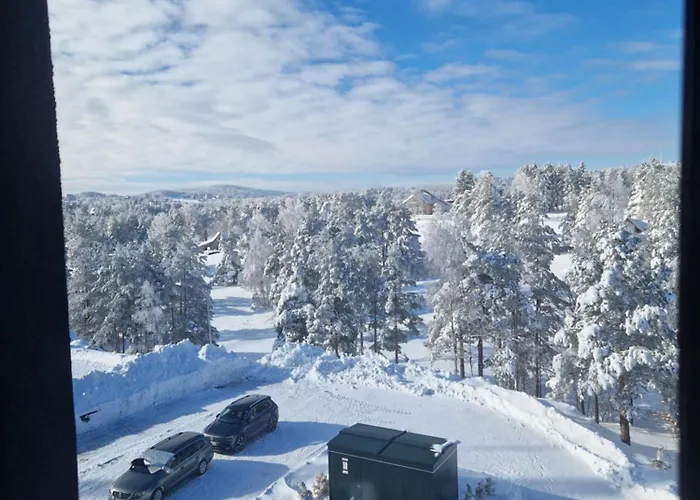 Divcinova - Gorski Divčibare